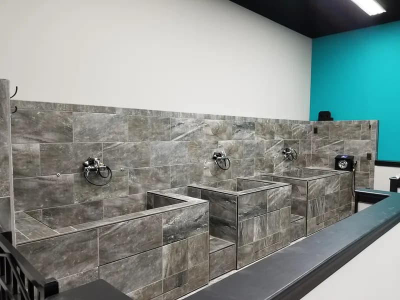 Custom tile shower and stone wall, finished